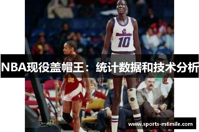 NBA现役盖帽王：统计数据和技术分析