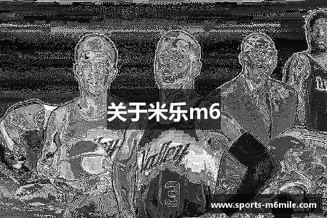 关于米乐m6